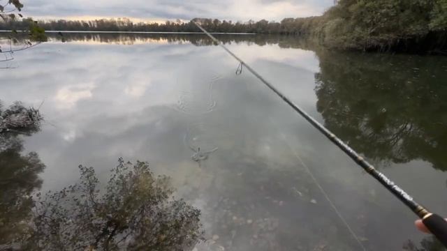 🇫🇷 Рыбалка во Франции! Ловля ЩУКИ на Спиннинг 🇫🇷 смотреть онлайн