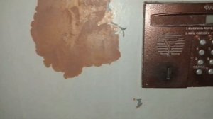 Тест моих ключей от домофона факториал.