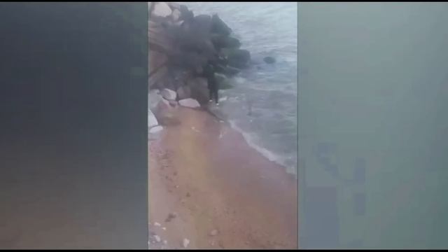 МЫ ЕЕ НИГДЕ НЕ ПРЯЧЕМ! Семья Пропавшей в Дагестане Анн?