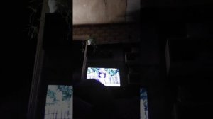 донаты на телефон+79534285817 Никита б.