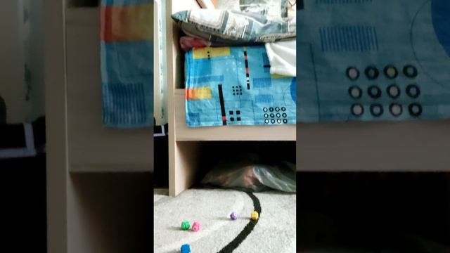 Как лучше играть в конги нори! @игравкальмара @конгино?