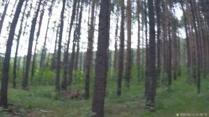 Поездка в поселок Черноисточинск (Свердловская область) с сыном ♥