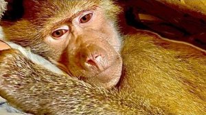 Олег Зубков сегодня работал Дедом Морозом и дарил подарки