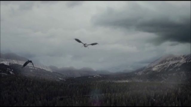 Крылья Ангела смотреть онлайн