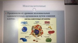 Консультация по биологии ОГЭ (краткое содержание двухдневной консультации)