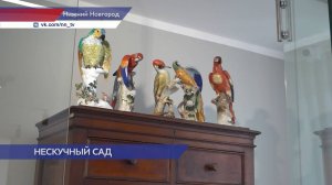 Выставка редких фарфоровых изделий прошла в Горький-Центре