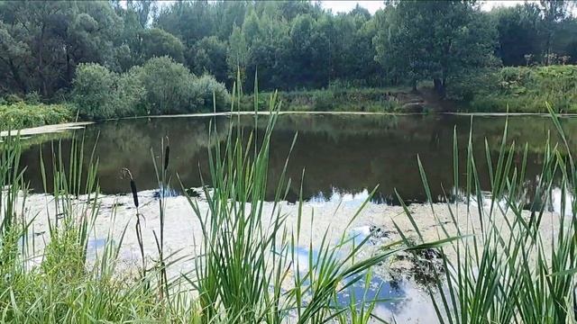 ЖЕНА и КОСА ПОКА РОСА! ТИНА и БОРЩЕВИК 🌵 ГРАБЛИ 💪САМО - смотреть видео ...