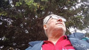 13-06-2025. Делать не чего. Надоело лежать, решил прогуляться