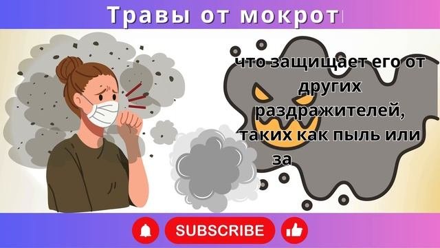 Растение №1, чтобы УДАЛИТЬ всю МОКРОТУ из ГОРЛА за счи?