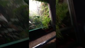 МОСКВА И ПЕТЕРБУРГ часть 7 день 2