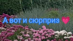 Ура! Вот и сюрприз💗💗🫶🏼
Надеюсь вам понравится 😊