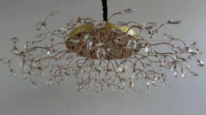 8534/21LED GD+WT люстра светильник на luster.by