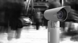 То, что камера записала в лесу, потрясло весь мир! Прос?