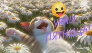 УРА! ПЯТНИЦА!!!