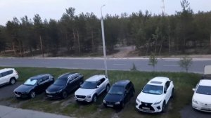 БЕЛЫЕ НОЧИ