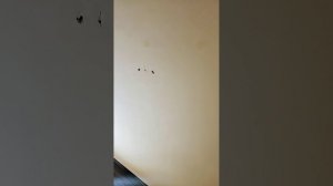 Лампа Лосева