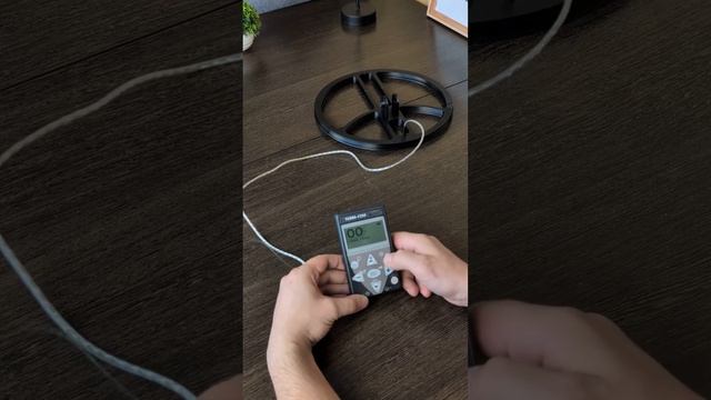 Первая настройка металлоискателя Terra-F250 смотреть онлайн