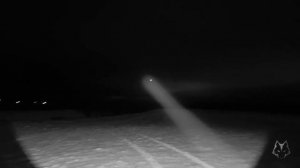 Ulefone Armor 27T Pro (сравнение основной камеры и ночного виде?