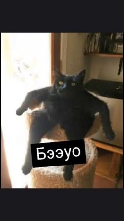 Смешно