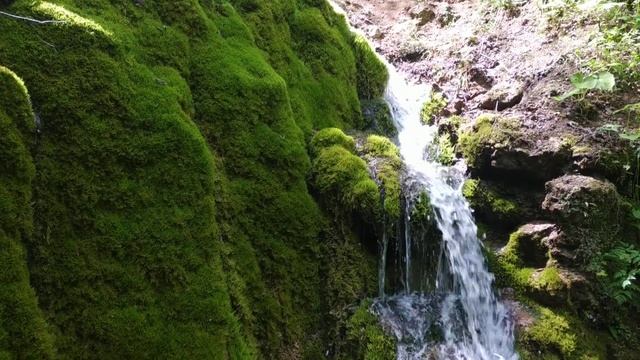 Зелёный ручей. Тызыл смотреть онлайн