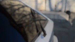 Alpine SWR-12D4 В ЧВ