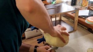 Шинковка для капусты своими руками