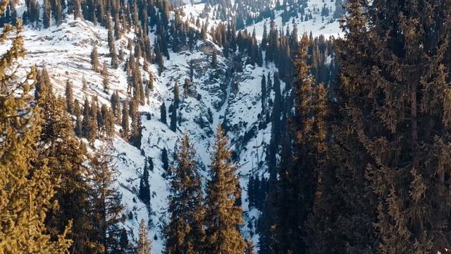 Vlog #12 Зимний поход на кок жайляу.  (15.02.2025) смотреть онлайн