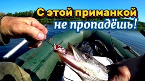Эта приманка сделала всю рыбалку! Спиннинг. Щука