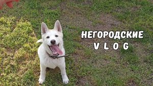 Приводим площадку в порядок. 03.06.25