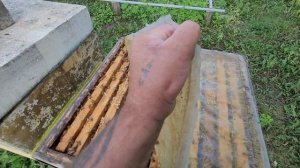 ф.52. по немного трудимся.