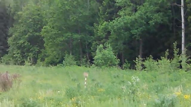 Строительство дороги в Обнинске до Борисоглебской смотреть онлайн