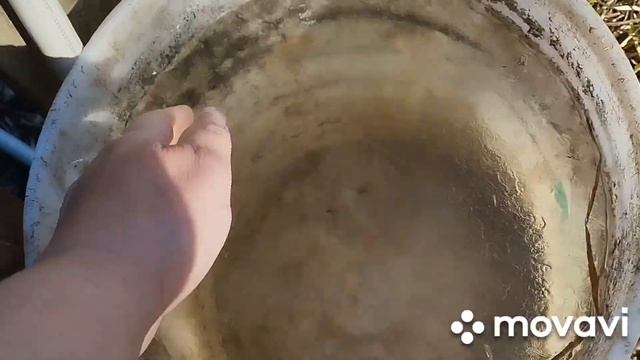 Все пропало.Три магнитофонатри кинокамеры загранич