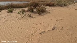 Супалидаги янги жой 1 кисм