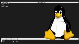 Использование текстового редактора nano в Linux.