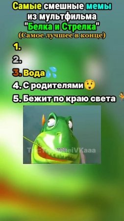 Белка и Стрелка @Тимофеевка #енотки #фиксики