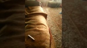 Проткнула руку карандашом !!! Пранк над друзьями