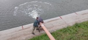 Зарыбление сомом 300кг.