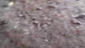 Работа в -50.mp4