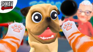 КОТ СБЕЖАЛ ОТ БАБКИ В ГОРОД! Cat in town VR!
