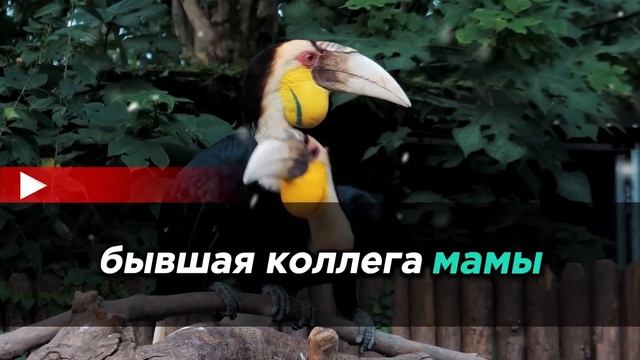 На семейном рождественском обмене подарками я вручил смотреть онлайн