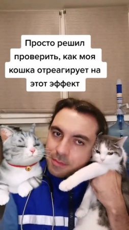 Ей пофиг))