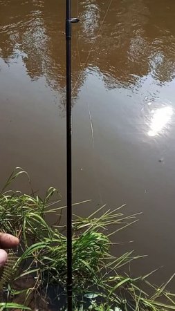 1000041941.mp4