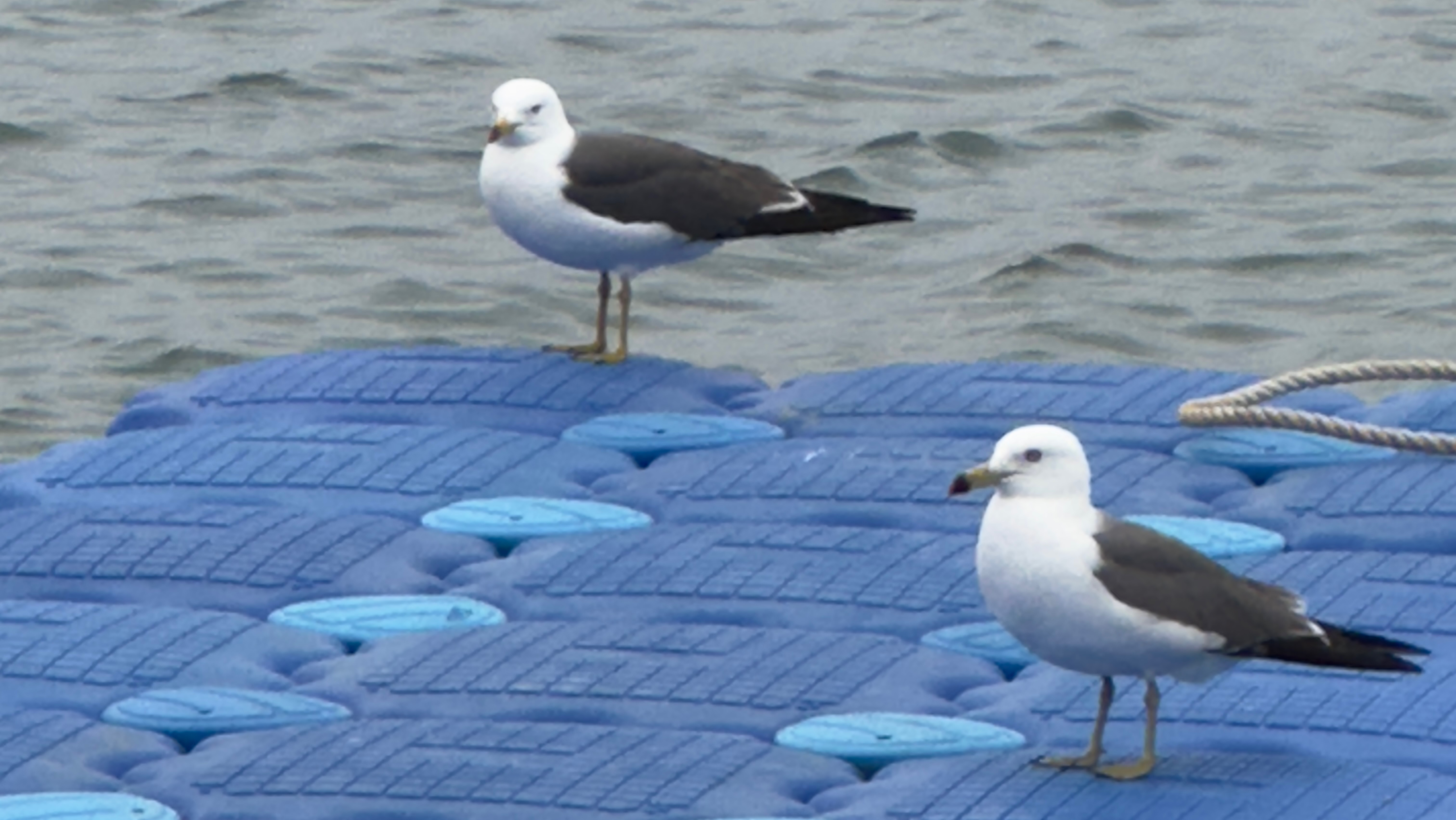 #топыкатегорий #Mоре