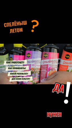 Применении удобрения для рассады летом. Как, когда, для чего?