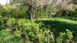 ТЕСТ КАМЕРЫ iPhone SE 2020 4К 60 кадров в секунду