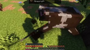 Я ОБНОВИЛ самую УНИКАЛЬНУЮ рпг сборку. + Сервер.