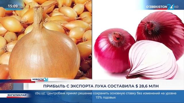 Новости 24 | Прибыль с экспорта лука составила $28,6 млн смотреть онлайн