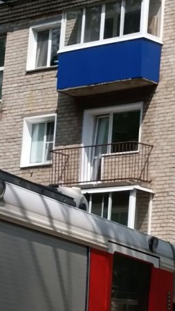 наверное хотел прыгнуть но вырубился