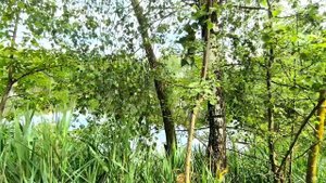 Продам дачу1.mp4