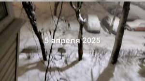 Снег в апреле.